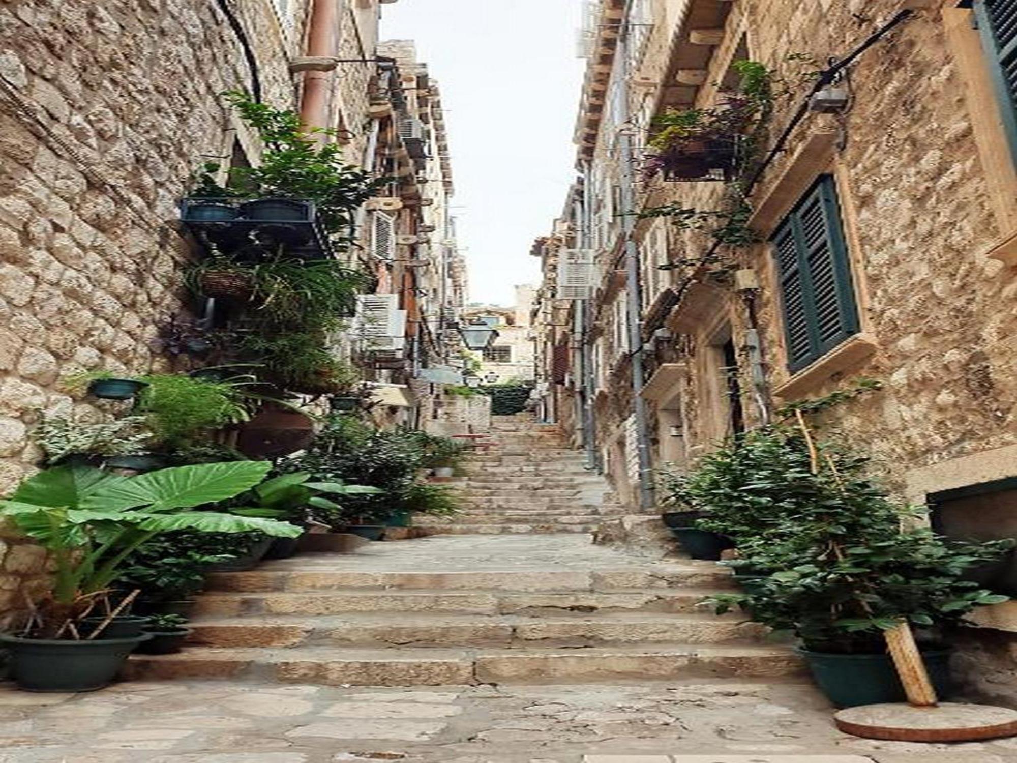 Pk Apartments - Dubrovnik Oda fotoğraf